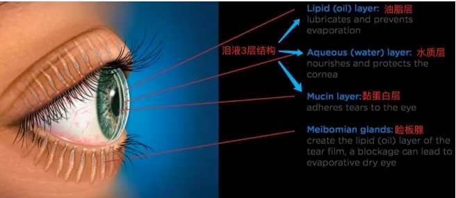 微信截图_20231102142940